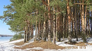 Рыбинск. Прогулка до Крестовского Ручья . +13 тепла. 15 марта 2026 год. Камера; ЭКШН. SJCAM SJ11