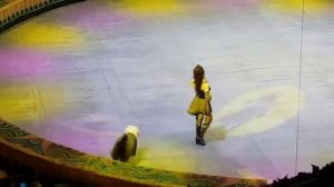 Староанглийская овчарка