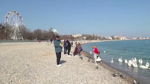 12 лет исполняется со дня исторического референдума в Крыму и Севастополе.