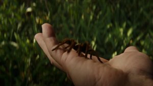 Что делать если укусил паук. Анаконда 2025. Фрагмент фильма