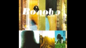 Bonobo. Animal Magic