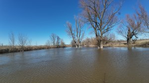 Первый весенний сплав 2026. ОСЕРЕДЬ: Затон - Железный мост.