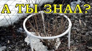 Перечень работ на даче В МАРТЕ💪💪💪