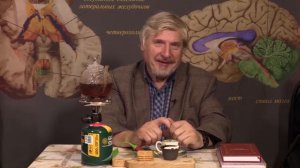 Не пренебрегайте органами чувств