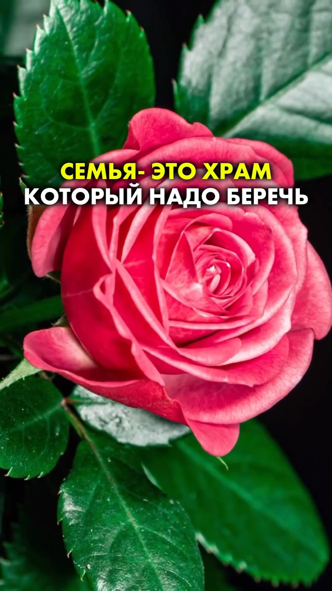 СЕМЬЯ ЭТО ХРАМ КОТОРЫЙ НАДО БЕРЕЧЬ