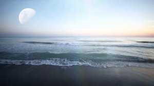 МИР Космическая симуляция .