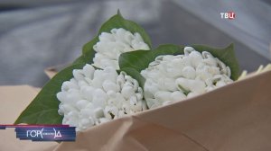 В Москве патрулируют стихийные рынки краснокнижных растений