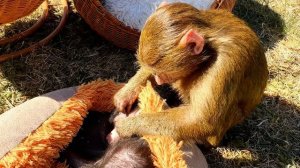 Несмотря на то что мама Лида не ухаживала за Анфисой, она старается и УЧИТСЯ ЗАБОТИТСЯ О НИКОЛЬ!