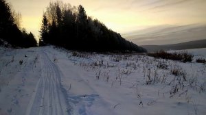 Дневник охотника. День 26-ой.