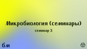 Микробиология (ПМФ). Семинар №3. Лавренова В.Н. 07.03.2026.