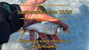 Закрываем сезон 25/26. Хороший клев плотвы и подлещика