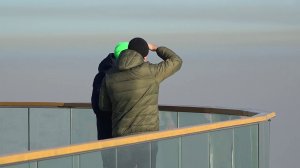 ВОТ БЫ ПОНЕДЕЛЬНИКИ ВЗЯТЬ И ОТМЕНИТЬ