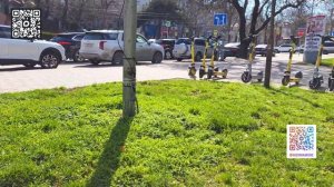 НОВОРОССИЙСК. ЗИМНЯЯ ВЕСНА.... МОРЕ и ЛЮДИ....САЖАЮ ОЛЕАНДРЫ и ЛИГИСТРУМ