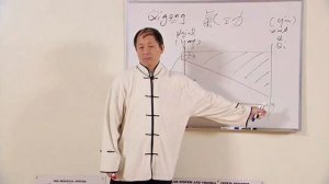 Понимание цигун. Что такое цигун (часть 1). Ян Цзюньмин