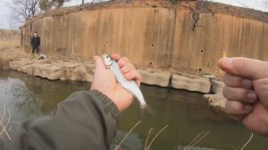 мой первый опыт на мормышинг с результатом