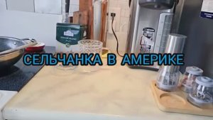 Сельчанка в Америке / СНЕЖНЫЙ ЛЕДЯНОЙ ШТОРМ В МИЧИГАНЕ НЕ МОГУ ВЫЕХАТЬ СО ДВОРА