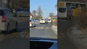 Кот или котик!? )