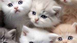 танк крафт 2