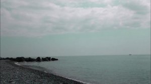 Карина Королева-Гембицкая Песня "Подарите люди"