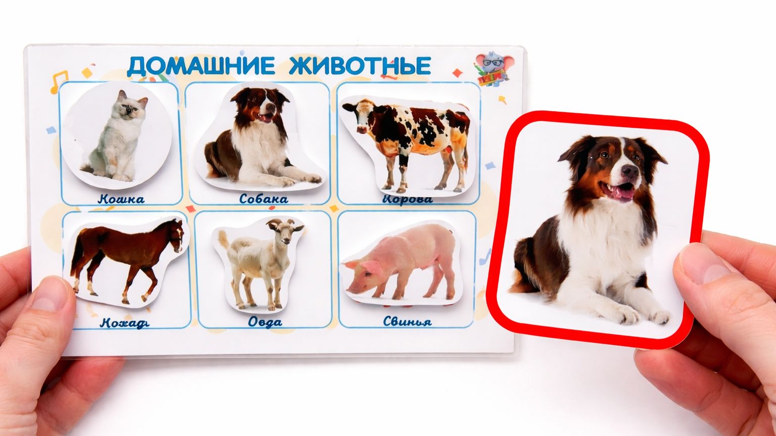 Учим домашних животных 🐮 Развивающее видео для детей | Первые слова