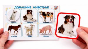 Учим домашних животных 🐮 Развивающее видео для детей | Первые слова