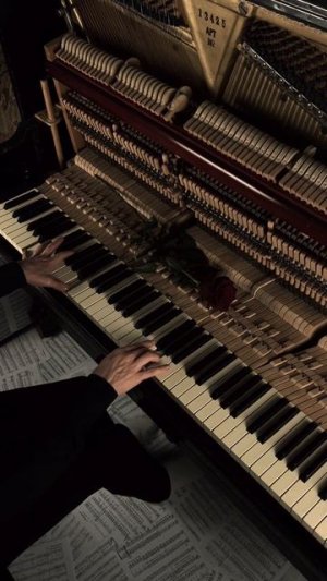 Solas by Jamie Duffy #aesthetic #piano #darkacademia