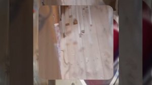 1000052217.mp4 (Собака наблюдает за устройством лестницы на 2-ой этаж в доме А-фрейм)