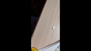 ‼️ТУТОР НА БУМАЖНУЮ КУКЛУ С ДВИЖЕЩИМИ НОГАМИ, РУКАМИ И ГОЛОВОЙ БЕЗ СТЕПЛЕРА‼️