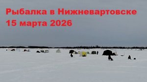Рыбалка в Нижневартовске 15 марта 2026