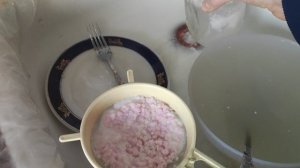 Кефирный грибок снова стал розовым