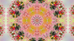 Весна! Очаровательные тюльпаны 6! Киностудия Мудрого Кота Тимофея!