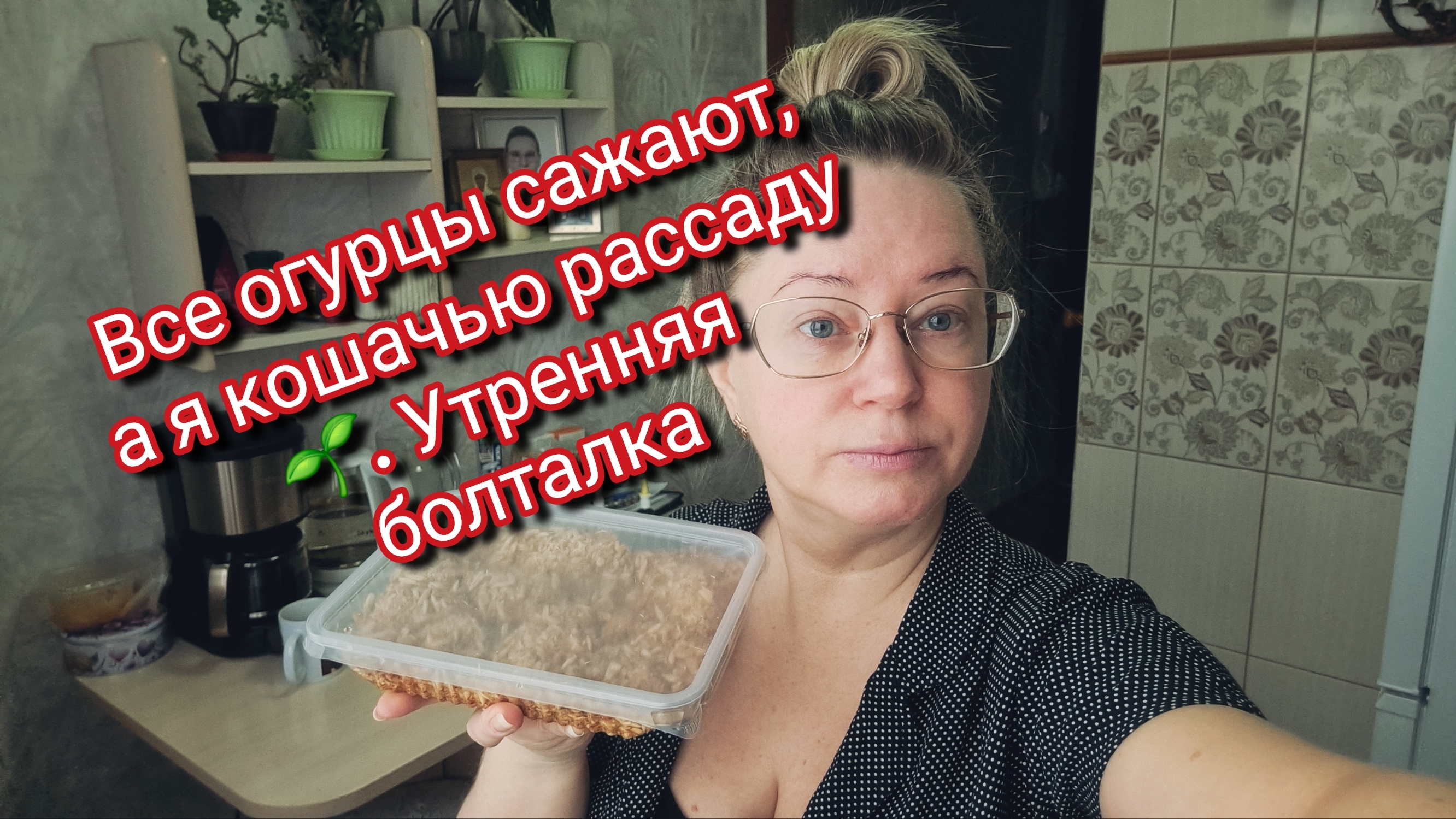 Все огурцы сажают, а я кошачью рассаду 🌱. Утренняя болталка смотреть онлайн