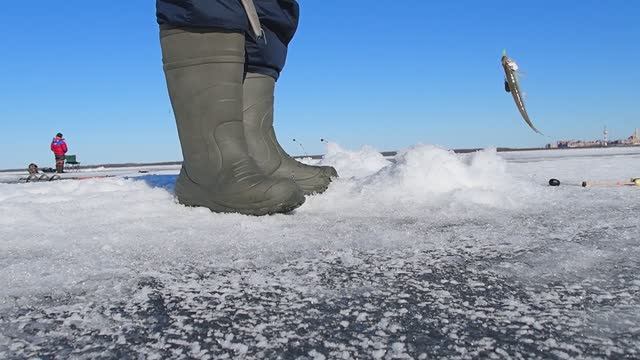 Ловля корюшки на Финском заливе 07.03.2026 Glavmex.ru