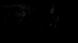 ЗАЙКА.  ФИНАЛ.. Страшные истории на ночь.