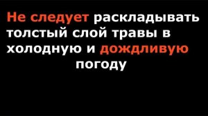 Завязь ПОМИДОРОВ НЕ РАСТЕТ. Фитофтороз, холодно, дождь.