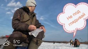 Рыбалка на Чебака и Сорогу, не крупный, но много.Ажж рука устала.