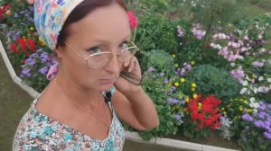 Видео привет с 6 соток 3 августа 2021 года. Пройду по цветам.