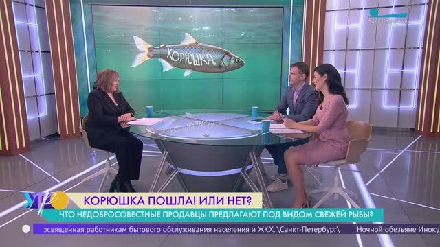 Корюшка пошла? Как отличить свежий улов от замороженной с прошлого года рыбы