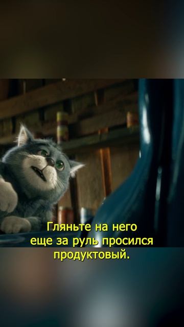 Что за тыр-тыр? #фильмыкоторыестоитпосмотреть #мультик #простоквашино #рекомендации