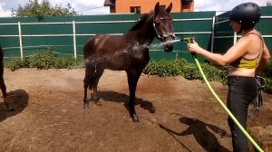 Жарким летом