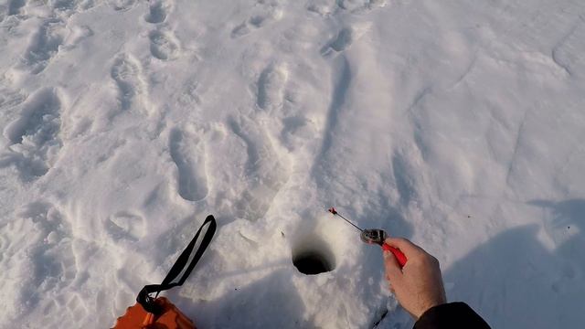 Ловлю красноперку на мормышку