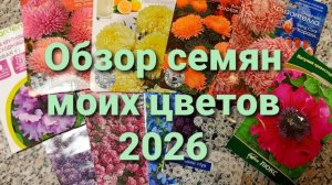 Сезон посадок 2026 открыт. Обзор семян цветов. Семена сельдерея.