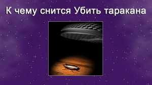 К чему снится Убить таракана - толкование сна