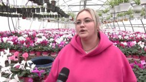 В Луганске работает цветочный питомник