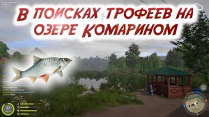 Ловим плотву.Русская рыбалка 4.В поисках трофеев.