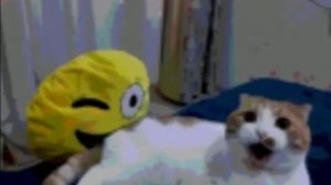 ухожу ден19к жура24к кореш24к дилод63к чг