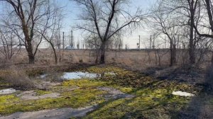 Ой река Волга как же ты хороша ,  и мысли там другие и мир другой