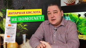 Янтарная кислота для комнатных растений. Не помогает модное средство?