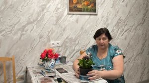 Как уберечь рассаду. 🌱🌱🌱 и цветок.