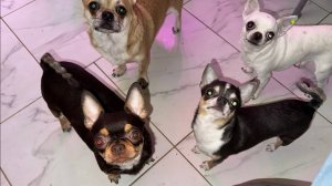 Вот все им надо выпросить и как с ними не поделиться.